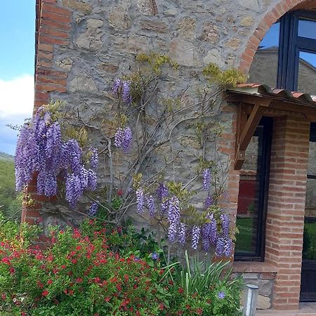 Podere Casalbosco - Idromassaggio E Panorama ラポラーノ・テルメ エクステリア 写真