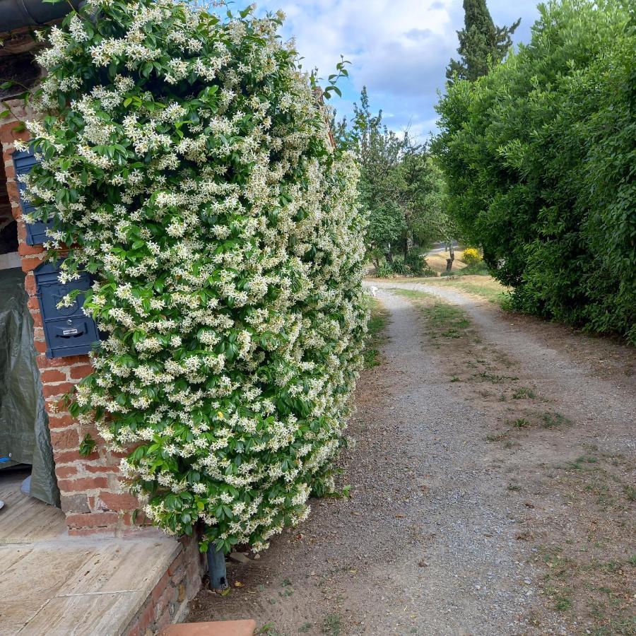 Podere Casalbosco - Idromassaggio E Panorama ラポラーノ・テルメ エクステリア 写真