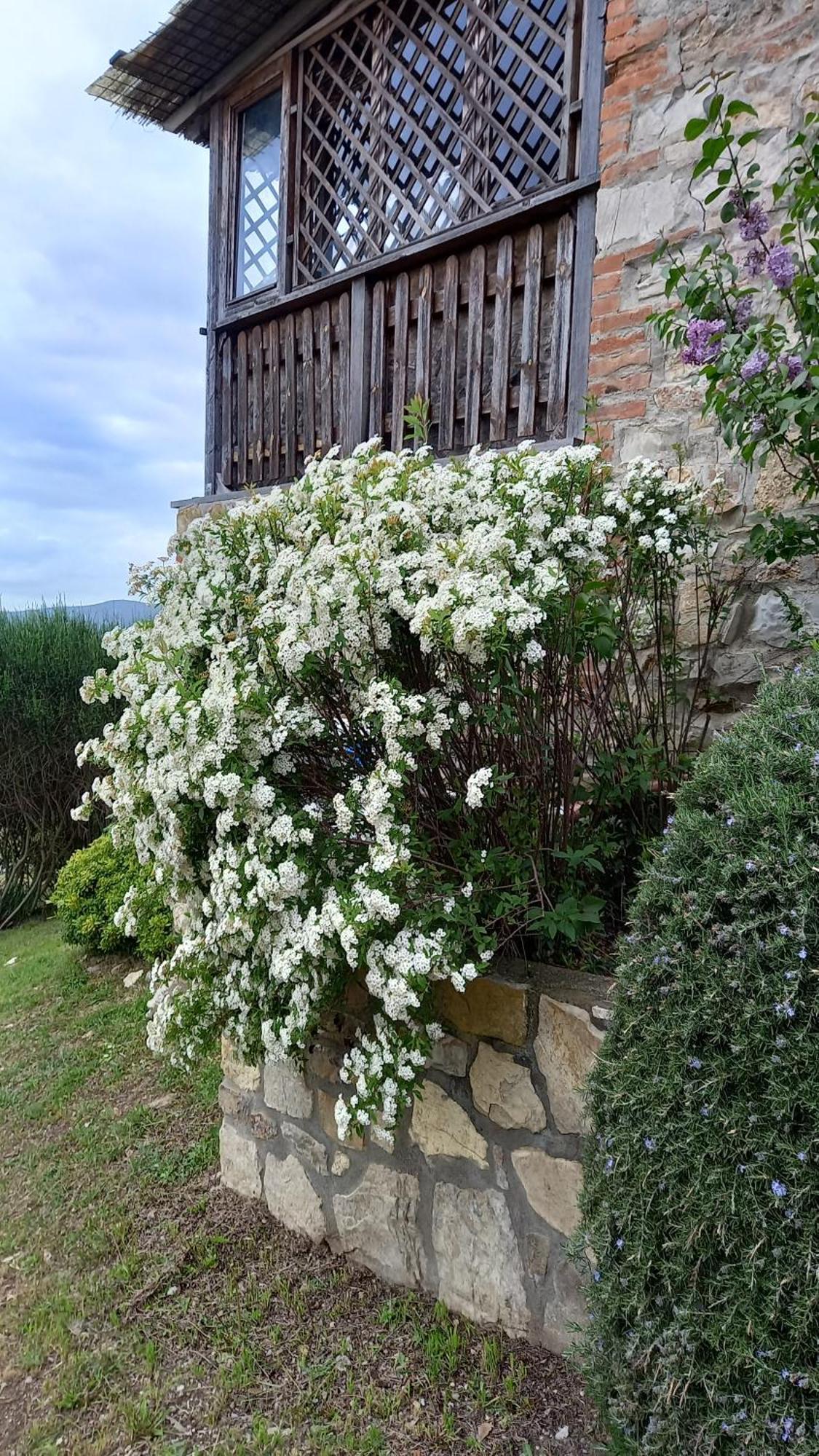 Podere Casalbosco - Idromassaggio E Panorama ラポラーノ・テルメ エクステリア 写真